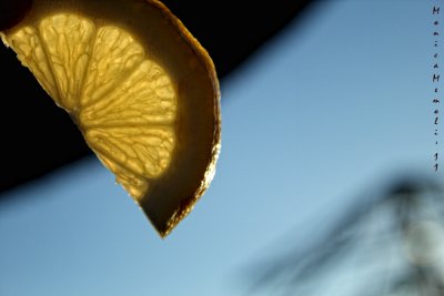 Lemon slice X-ray