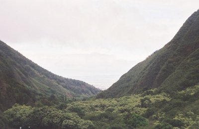 0084800-R1-013-5.jpg