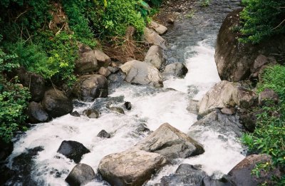 0084800-R1-019-8.jpg