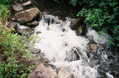 0084800-R1-021-9.jpg