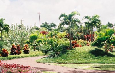 0084800-R11-007-2.jpg