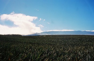 0084800-R11-049-23.jpg