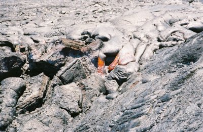 0084800-R3-013-5.jpg