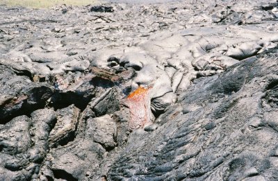 0084800-R3-019-8.jpg
