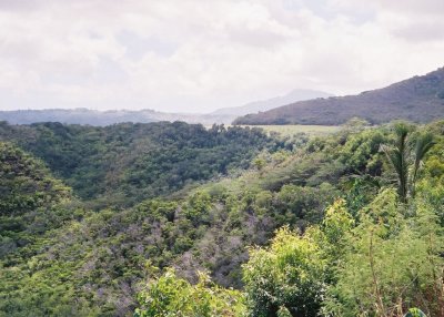 0084800-R4-035-16.jpg