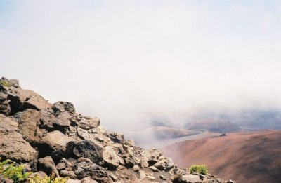 0084800-R5-023-10.jpg