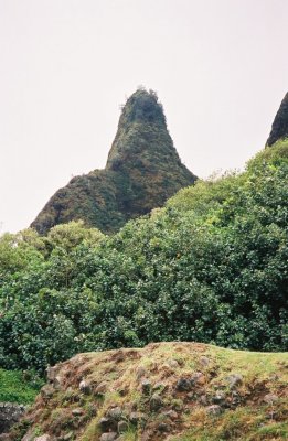 0084800-R5-051-24.jpg