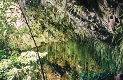 0084800-R8-023-10.jpg
