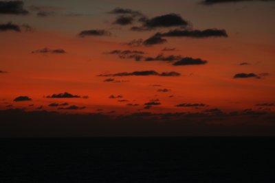 IMG_9221.JPG