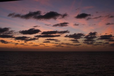 IMG_9247.JPG