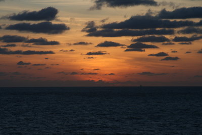 IMG_9264.JPG