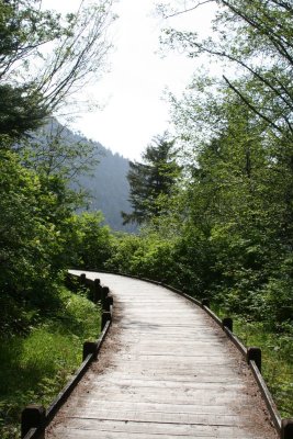 Pathway.jpg
