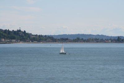 IMG_4300.JPG