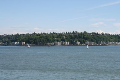 IMG_4302.JPG