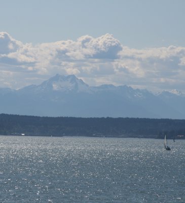 IMG_4304cropped.JPG
