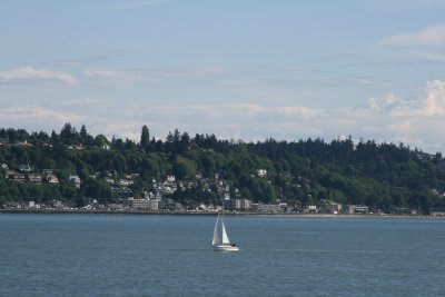 IMG_4311.JPG