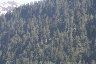 IMG_4496.JPG