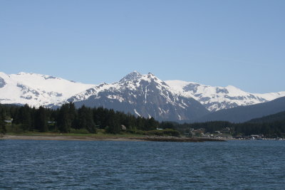 IMG_4530.JPG