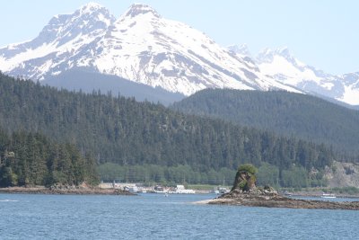 IMG_4550.JPG