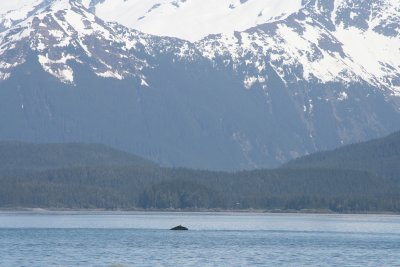 IMG_4718.JPG