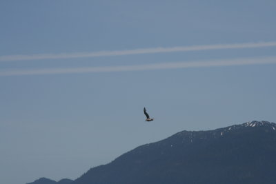 IMG_4752.JPG