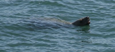 IMG_4819cropped.JPG
