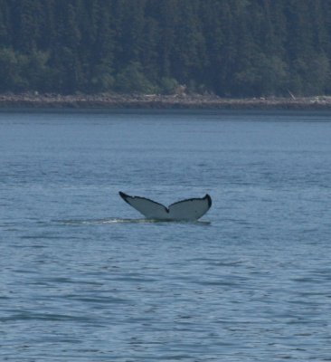 IMG_4844cropped.JPG