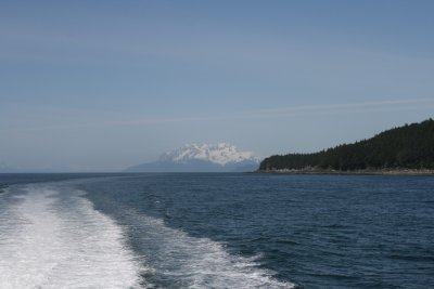 IMG_4877.JPG