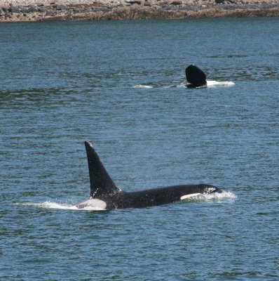 IMG_5097cropped.JPG