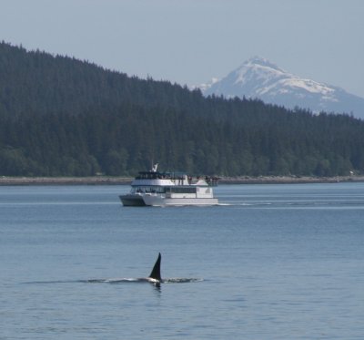 IMG_5141cropped.JPG
