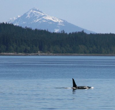 IMG_5143cropped.JPG
