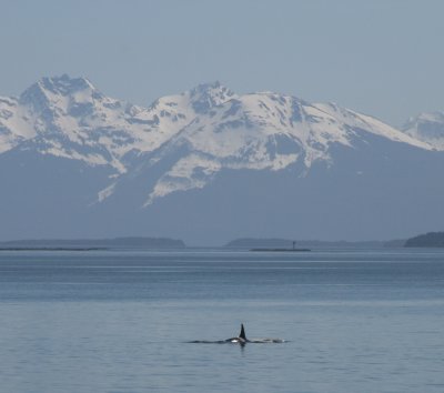 IMG_5144cropped.JPG