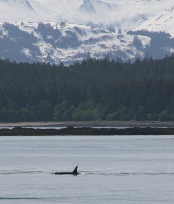 IMG_5157cropped.JPG
