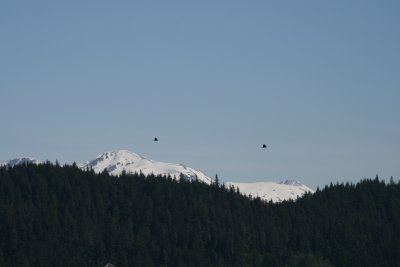 IMG_5247.JPG
