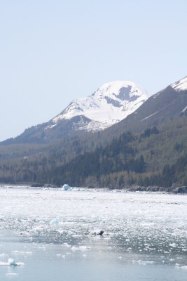 Hubbard Glacier