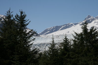 IMG_5259.JPG