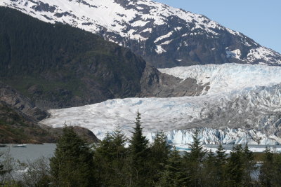 IMG_5267.JPG