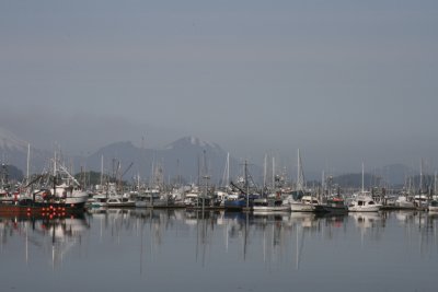 IMG_5596.JPG