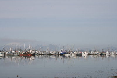 IMG_5610.JPG
