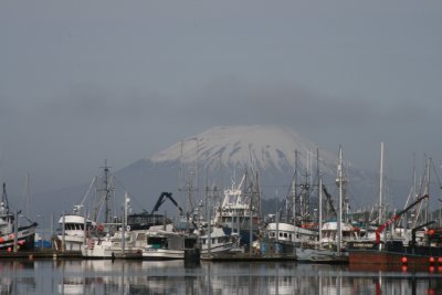 IMG_5619.JPG