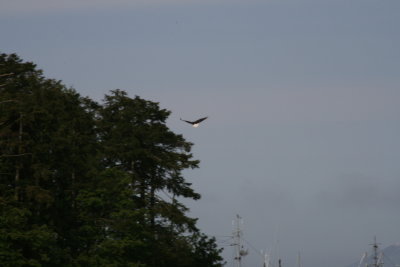 IMG_5620.JPG