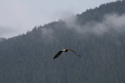 IMG_5638.JPG
