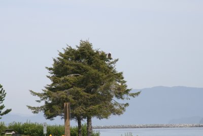 IMG_5641.JPG