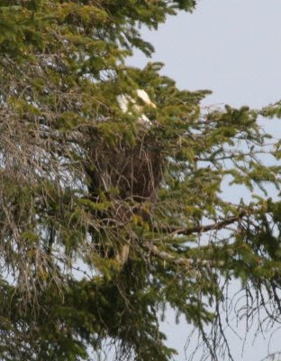 IMG_5648cropped.JPG