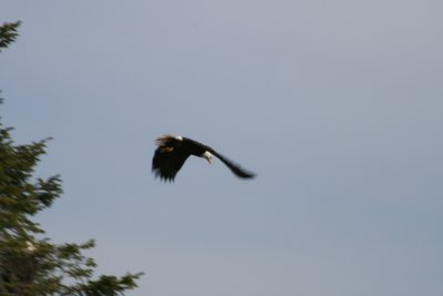 IMG_5651.JPG