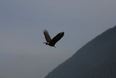 IMG_5652.JPG