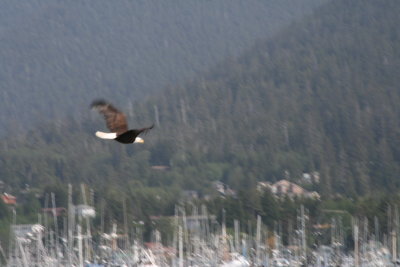 IMG_5653.JPG