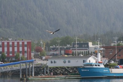 IMG_5658.JPG