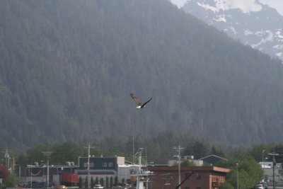 IMG_5659.JPG