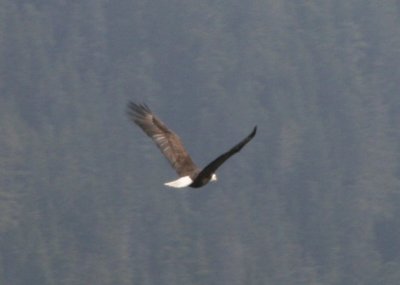 IMG_5659cropped.JPG